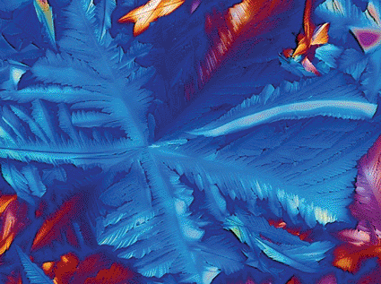 Image: Polarized light micrograph of crystals of the coenzyme nicotinamide adenine dinucleotide (NAD) (Photo courtesy of Alfred Pasieka / SPL).